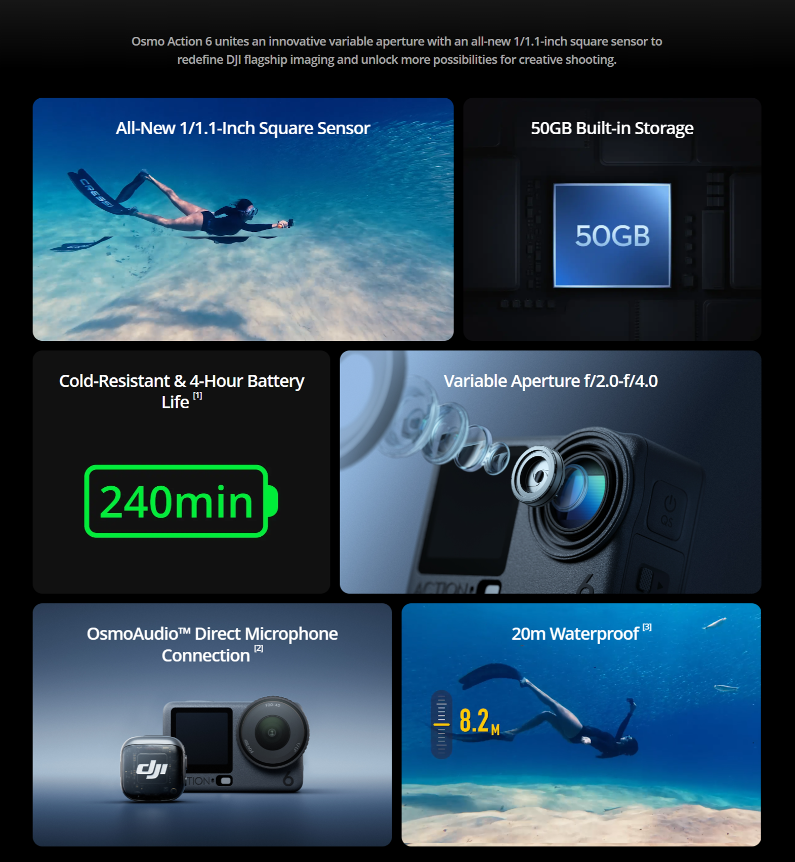 DCM-DJI26060info.png (2.07 MB)